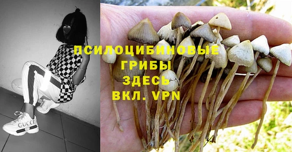 MDMA Premium VHQ Беломорск