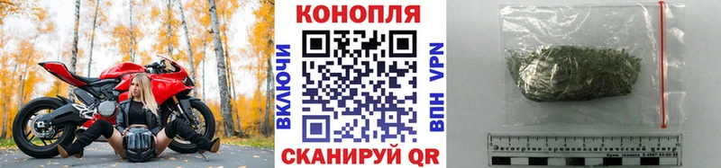 Купить где  Волчанск  Канабис Bruce Banner 